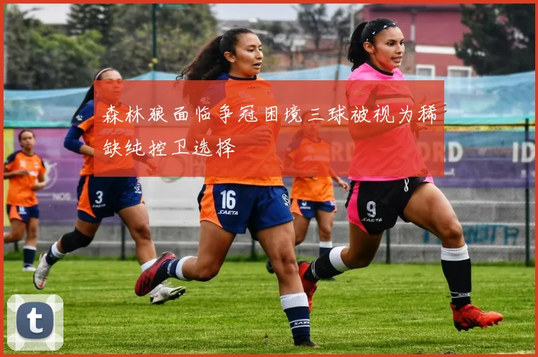 森林狼面临争冠困境三球被视为稀缺纯控卫选择