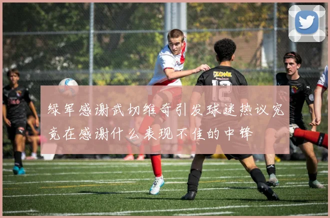 绿军感谢武切维奇引发球迷热议究竟在感谢什么表现不佳的中锋